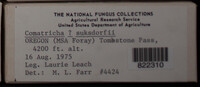 Image Associated With the Occurence